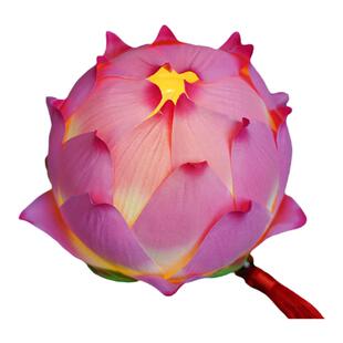 中国诗词大会｜手提荷花灯 节目同款diy莲花拍照装饰元宵节手提灯