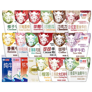 海河牛奶18种口味10袋可可巧克力儿童学生早餐奶风味奶
