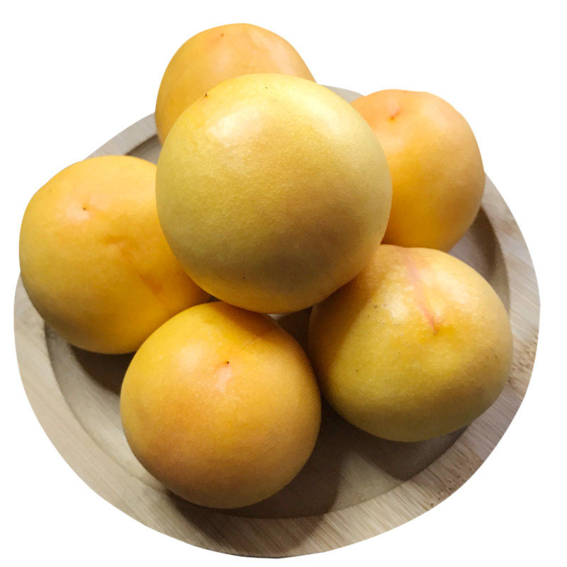 正宗山东沂蒙山头茬现摘黄金油桃