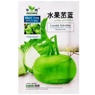 水果苤蓝种子绿苤蓝青芥兰头芥菜球茎甘蓝种籽春秋农家田园蔬菜孑