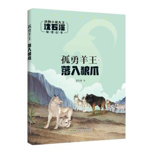 孤勇羊王之落入狼爪 注音版 沈石溪 动物小说大王 安徽少年儿童出版社 小学课外阅读故事书文学  有图画fb
