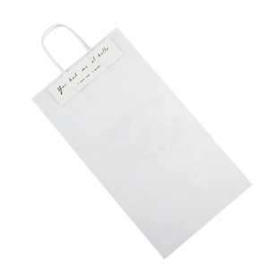 ins透明礼物手提袋小号礼品袋生日伴手礼包装袋小盆栽玩具饰品袋