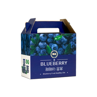 蓝莓礼盒包装盒1斤2斤装高档创意蓝莓礼品盒空盒水果包装纸箱批发