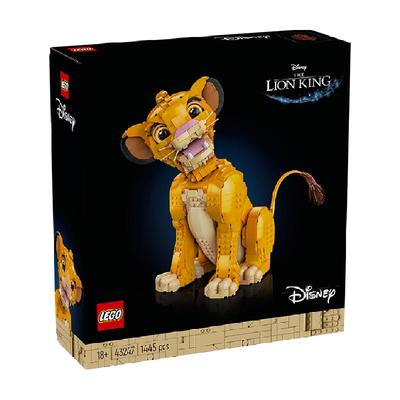 乐高18岁以上可玩儿童拼插积木