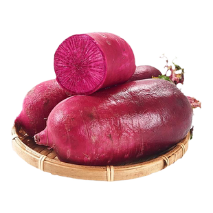 紫美人凤梨水果萝卜种子大全红心红皮萝卜种籽苗秋播盆栽蔬菜种孑