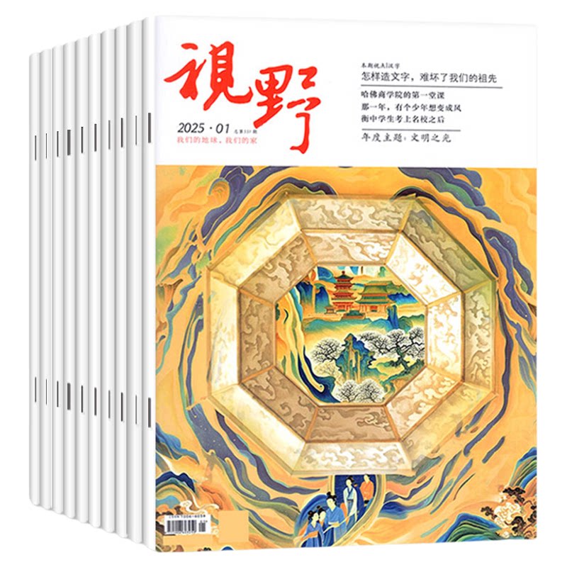 视野杂志2026年7-20期【2027全年/半年订阅可选】综合性文摘文学类半月刊青年文摘读者思维与智慧书籍非2025年过刊