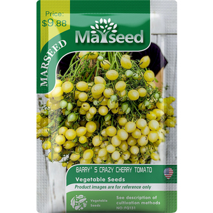 【官网高分】野猪农场新品BARRY CRAZY巴里的疯狂的巴里番茄种子