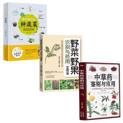 【官方正版】野菜野果识别与药用全图鉴 户外采摘野菜野果的种类和功效高清精编野外认采 野外植物辨别与安全食用速查手册简单入门