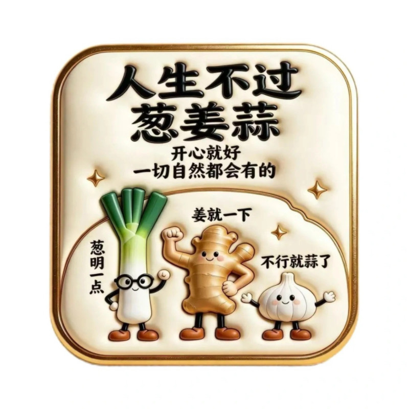 人生不过葱姜蒜亚克力平面冰箱贴磁吸贴文创纪念品国潮文创伴手礼