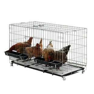 鸡笼子养鸡笼大号养殖笼折叠兔笼子狗笼子加粗蛋鸡笼家用鸡窝鸡舍