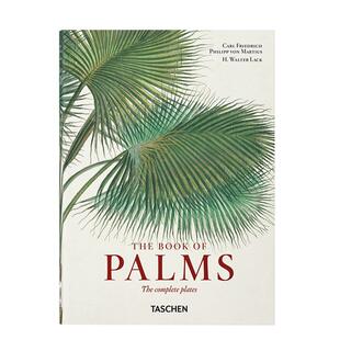 【现货】【TASCHEN45周年纪念版】马修斯：棕榈书  Martius. The Book of Palms 英文原版进口艺术画册画集