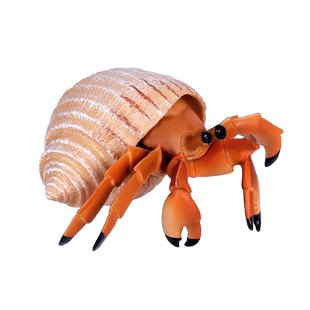 仿真寄居蟹玩具鹦鹉螺海洋生物动物模型实心塑胶儿童认知摆件礼物