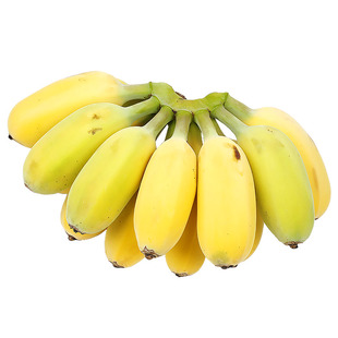广西正宗苹果蕉5斤 banana新鲜香蕉粉蕉自然熟当季非小米芭蕉香焦