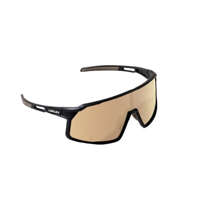 LOXLEY骑行眼镜蔡司日夜两用