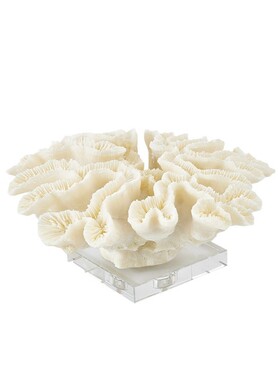 简约现代米白色珊瑚装饰品