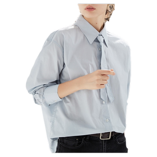 女士衬衫淡蓝色长袖职业正装春季春款轻熟风内搭气质衬衣纯棉上衣