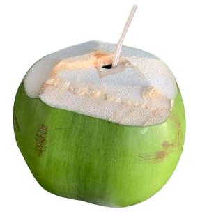 正宗海南带皮椰青新鲜青皮椰子大青椰孕妇水果特产纯天然汁水多