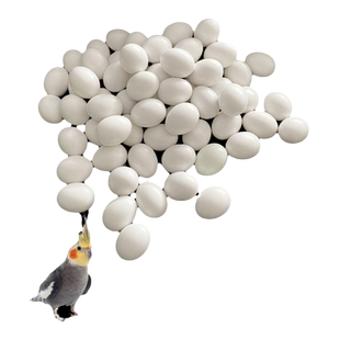 鹦鹉假蛋鸟类鹦鹉仿真实心蛋文鸟虎皮牡丹玄凤鸟蛋引蛋 10个包邮