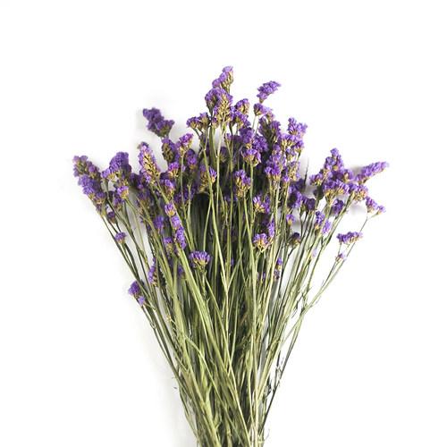 勿忘我干花真鲜花树枝艺术插花干枝diy客厅小清新装饰永生花束