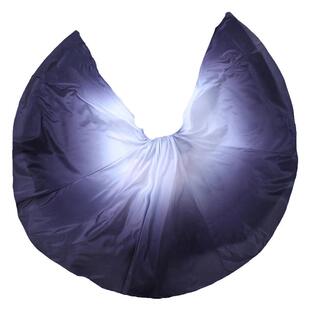 新疆舞蹈练习裙蒙古维吾族交谊舞摩登舞练功长裙半身大摆裙演出服