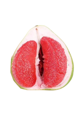 红宝石柚子树苗盆栽脆甜柚子树苗