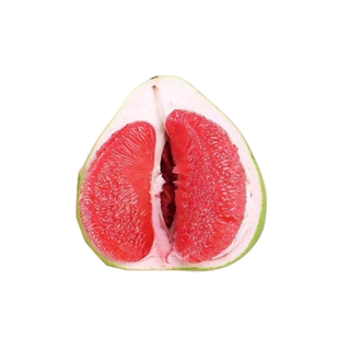 甜蜜红宝石柚子树苗青柚嫁接苗青皮红肉脆甜多汁南北方盆栽带土