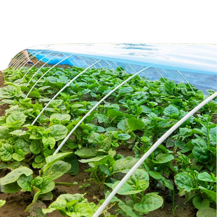 大棚骨架玻璃纤维小拱棚支架搭棚家用蔬菜塑料温室大棚拱杆玻璃钢