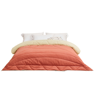 冬季加厚保暖被子冬被压风锁温棉被宿舍单双人冬季被子被芯防踢