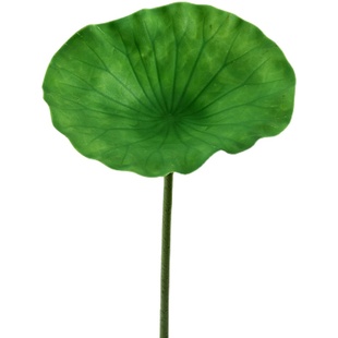 鱼缸池塘造景仿真手感 PU荷花荷叶莲蓬汉服拍摄花舞蹈道具假植物