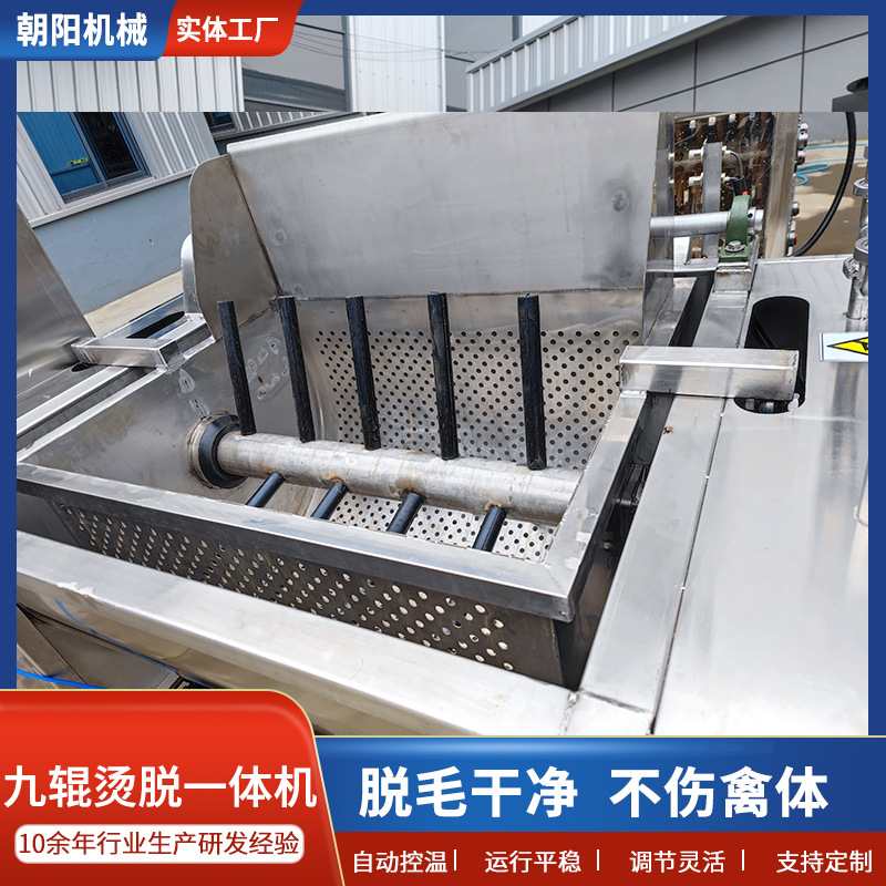 L活禽宰杀烫毛设备厂家现货九辊脱毛机鸡鸭屠宰全自动烫脱一体机
