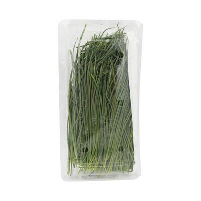 新鲜沙葱250g/盒小葱香葱