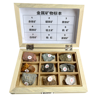 地质队工程师定制金属矿物石标本9种科普地理教学仪器材