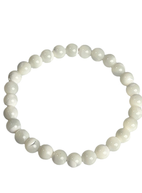 天然贝壳马蹄螺手串 白色单圈手链