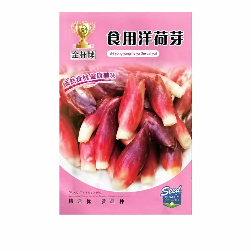2026年当季新鲜洋荷种子正品食用洋荷芽种籽四季可种菜籽阳台盆栽