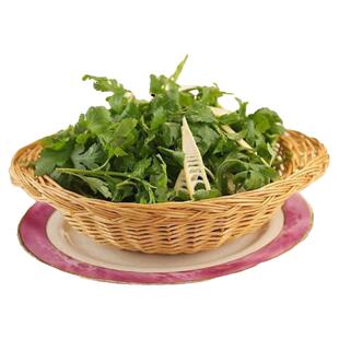 南京菊花脑种子菊花叶籽菊花涝蔬菜种孑多年生宿根多次采摘野菜