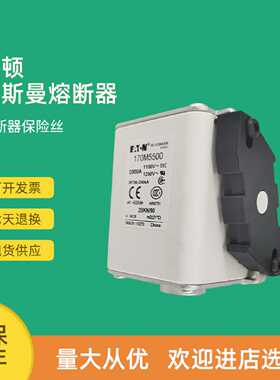议价全新快速熔断器保险170M5595 170M5596 170M5597 170M5598