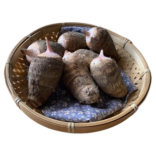 金坛正宗建昌红香芋粉糯现挖新鲜当季红芽芋艿小芋头5斤散装包邮