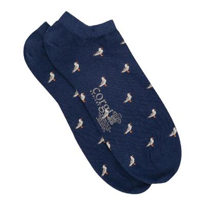英国袜子corgi英国夏季薄款袜子