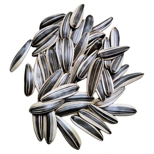 内蒙古原味大颗粒马牙葵花籽25年新货薄皮熊猫生瓜子仁甜追剧零食