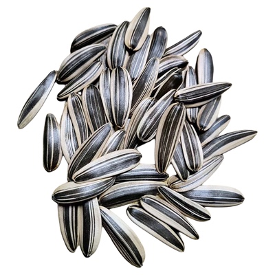 内蒙古原味大颗粒马牙葵花籽