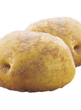 乐肴居土豆包儿童早餐包子商用