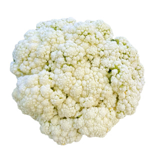 花菜种子有机松花菜种籽孑秋后青梗花椰菜种子西兰花四季耐寒耐热