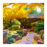 2晚腾冲石头纪悦榕庄集团悦椿酒店民宿定制旅游包车和顺古镇火山