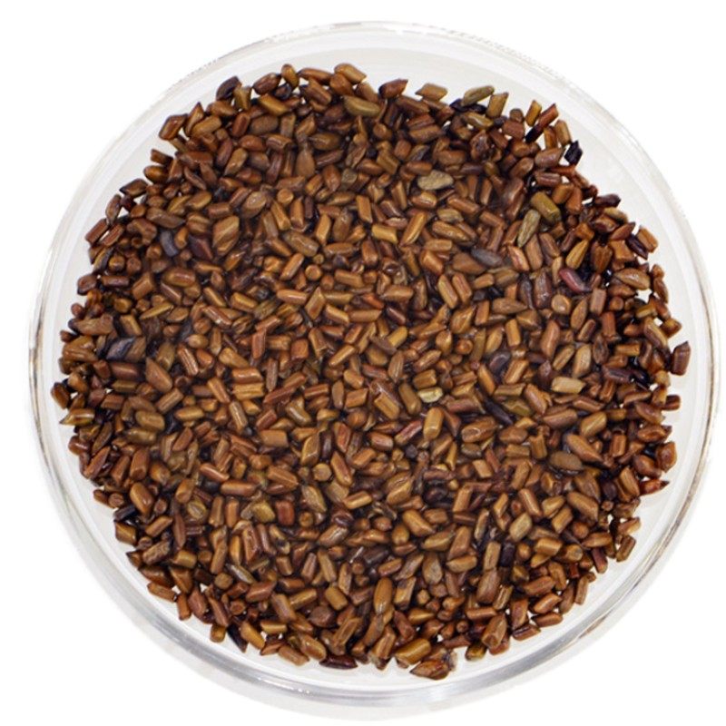 决明子茶200克菊星茶庄