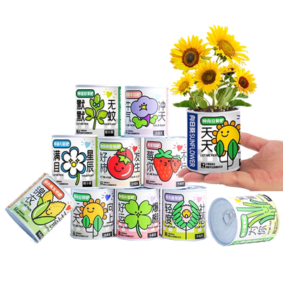 种植小盆栽桌面绿植罐头植物盲盒