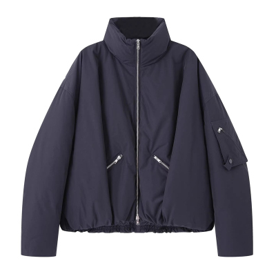 国内代购2025年冬装新款百搭宽松立领羽绒服外套女AR004124