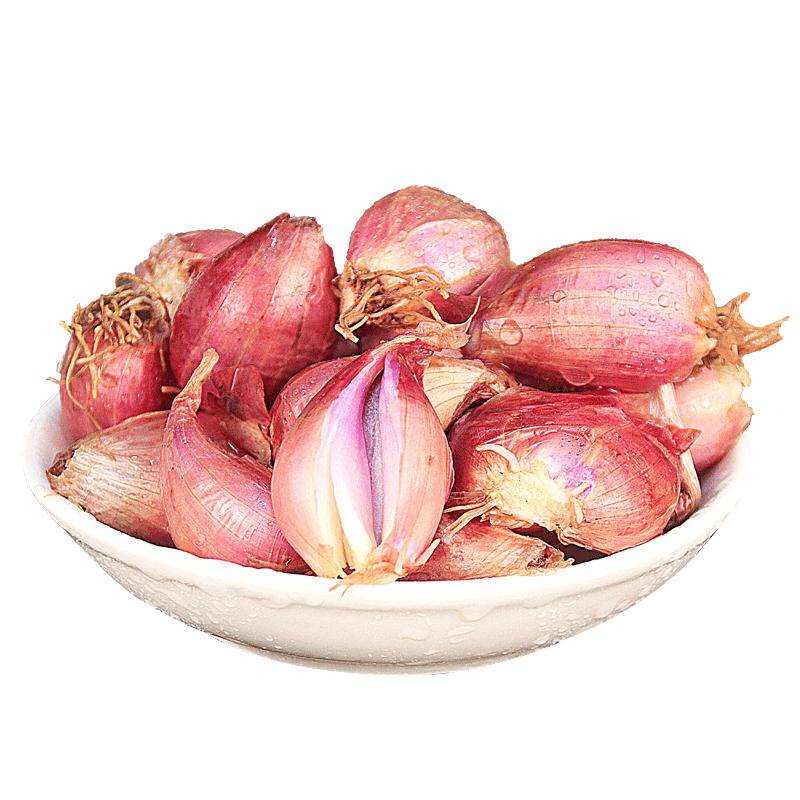 红葱头5斤大红皮干香葱头种头食用商用香料新鲜蔬菜农家小火葱头