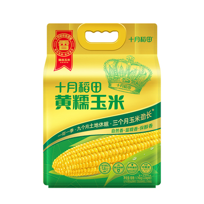 25年新玉米十月稻田黄糯玉米8根
