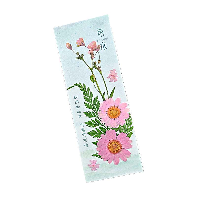 24节气干花书签diy材料包手工自制塑封膜创意植物标本压花学生用
