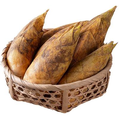 【送货上门次日达】临安天目冬笋